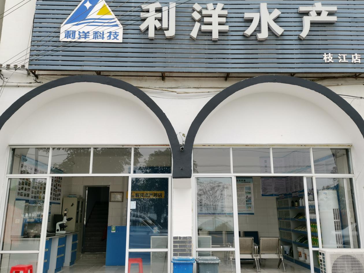 枝江店