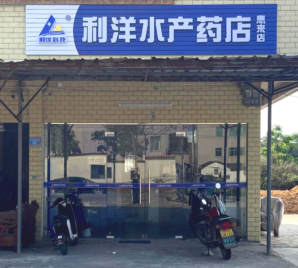 惠来店